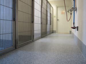 Dog kennels and sprayer