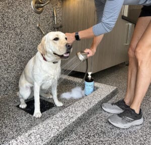 Dog wash with OGI flooring