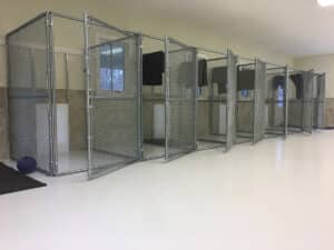 Dog kennels with OGI flooring in kennel