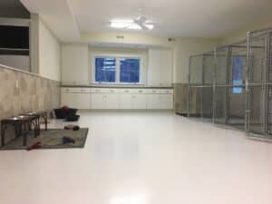 Dog kennel and open area with OGI flooring